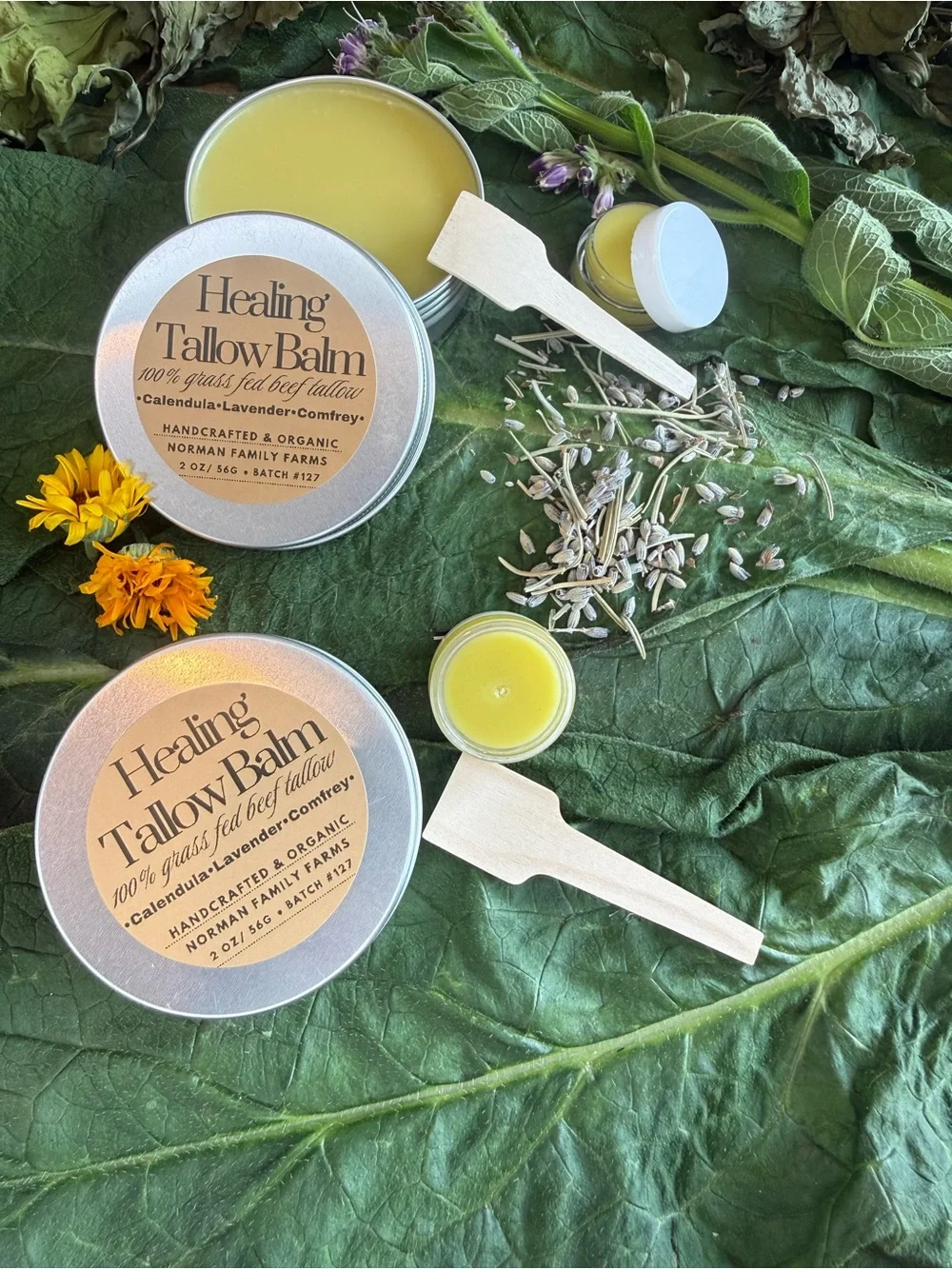 Tallow Balm - Nourishing Body Salve in Yellow